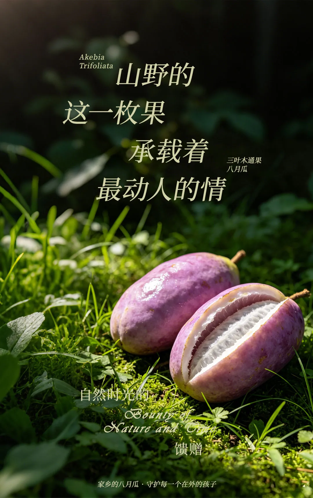 640 (8).webp