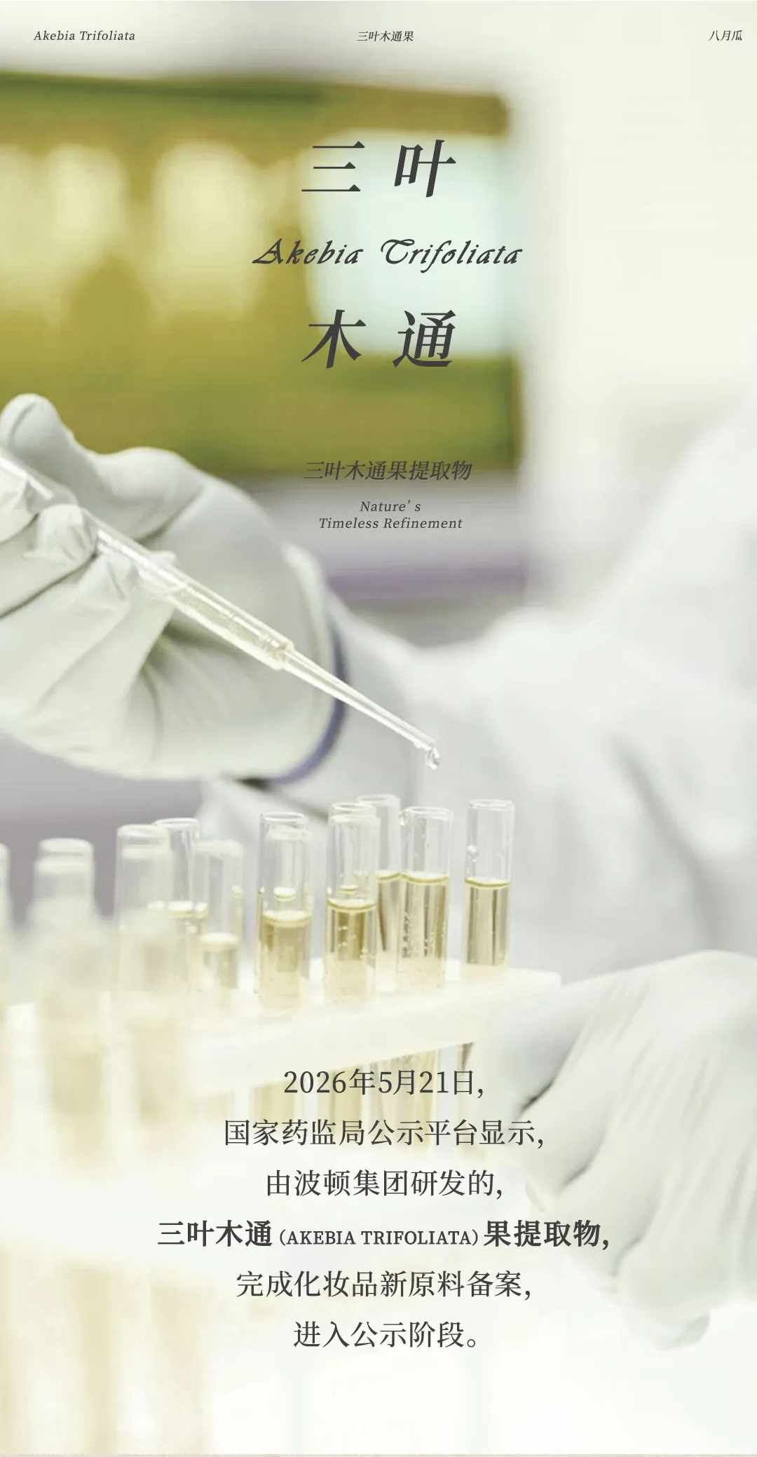 640 (9).webp