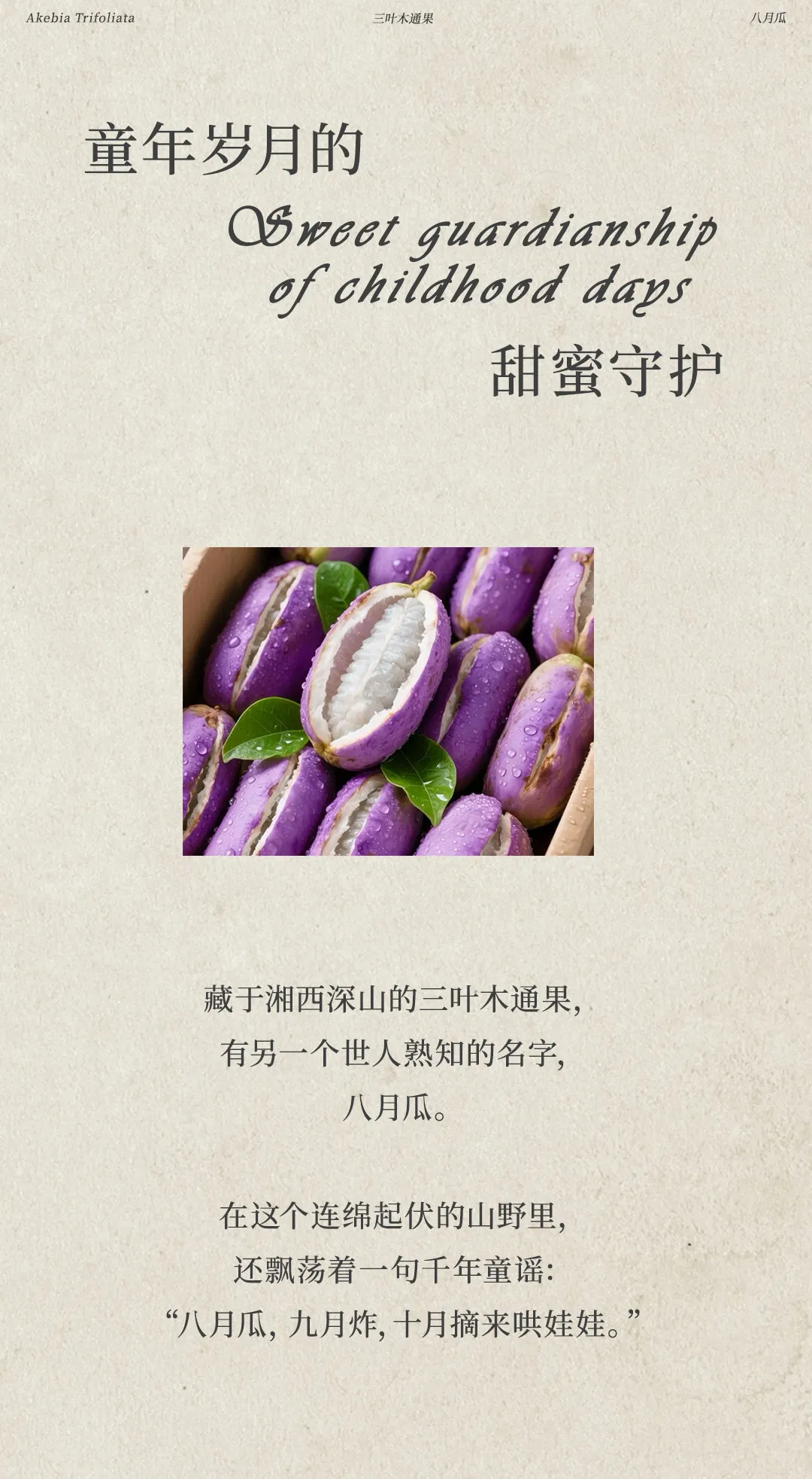 640 (10).webp