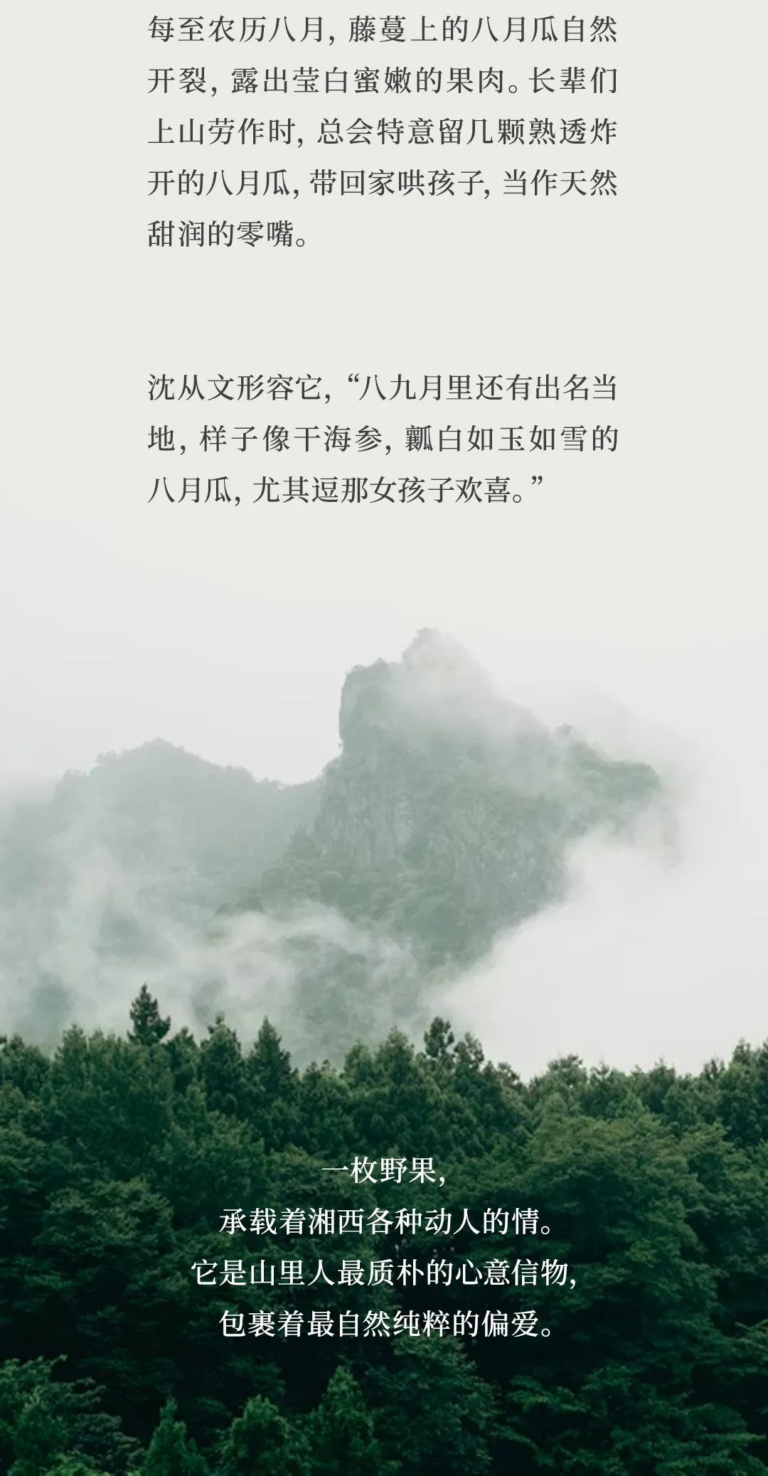 640 (12).webp