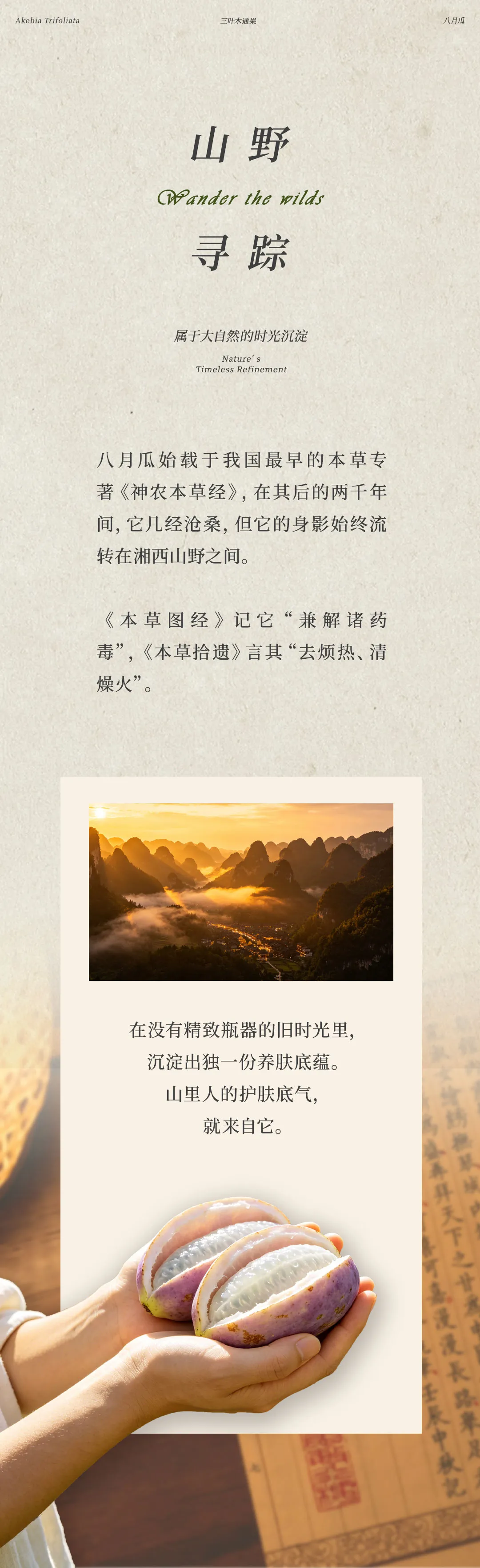 640 (13).webp