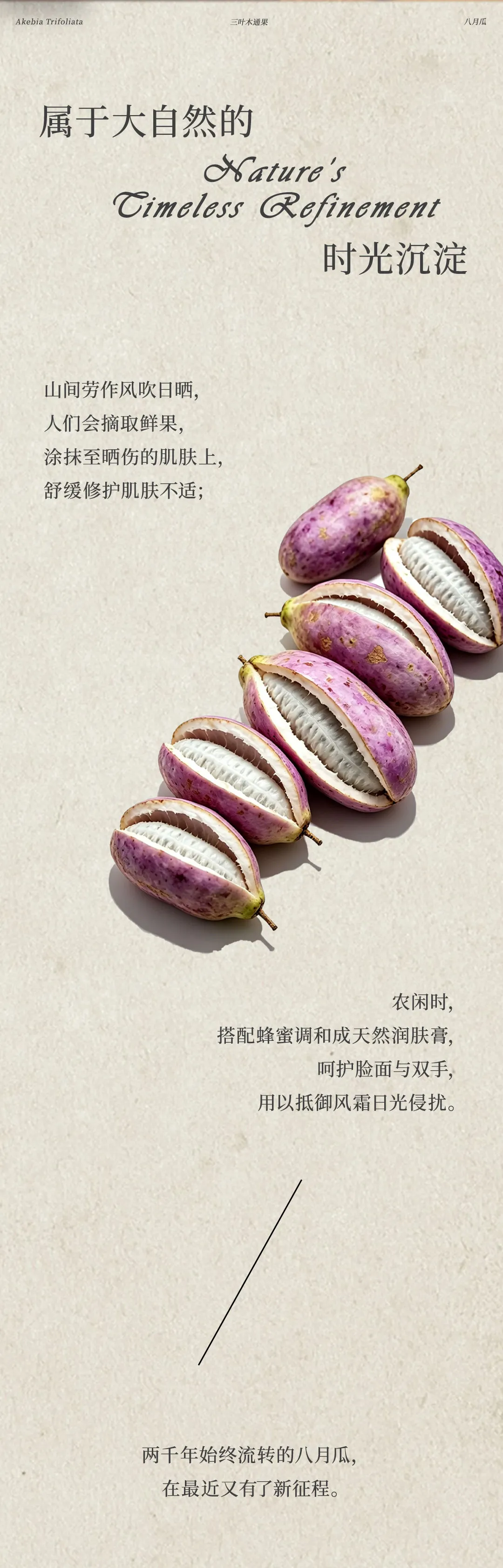 640 (15).webp