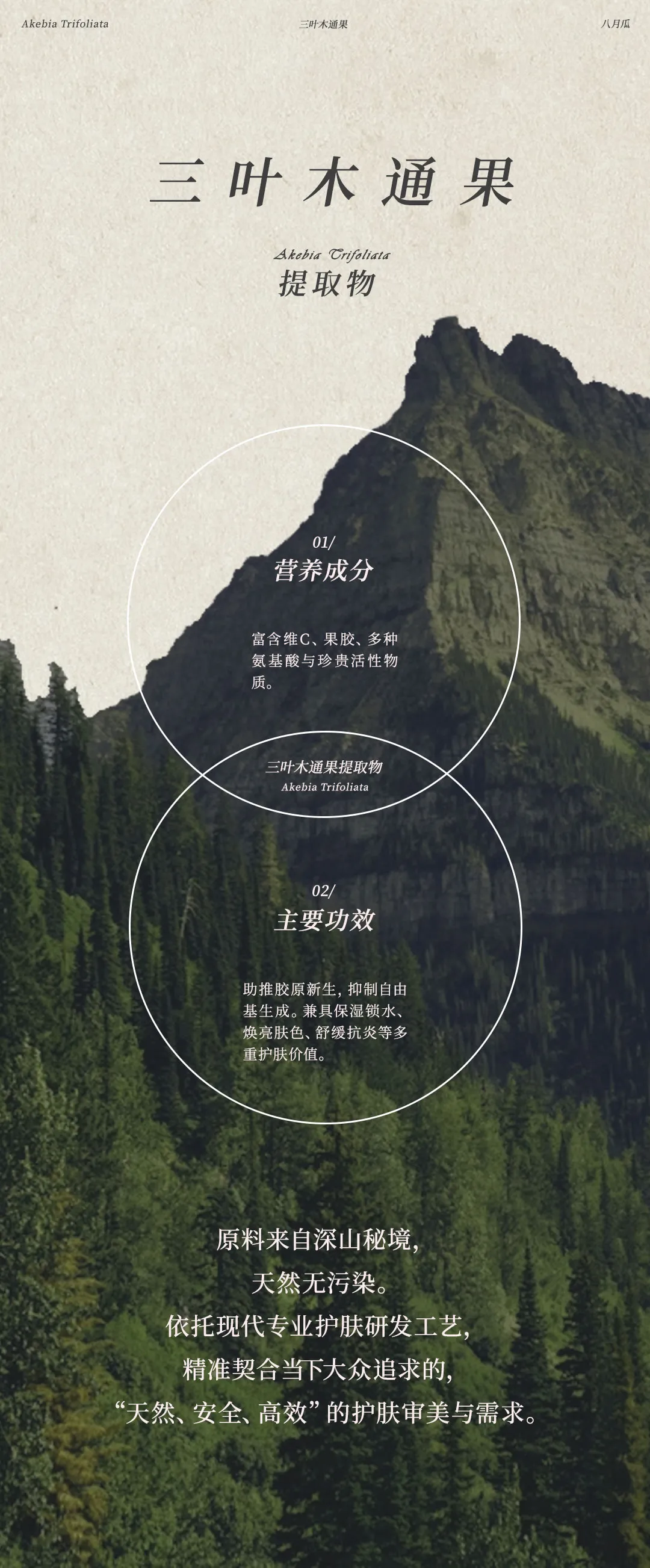 640 (17).webp