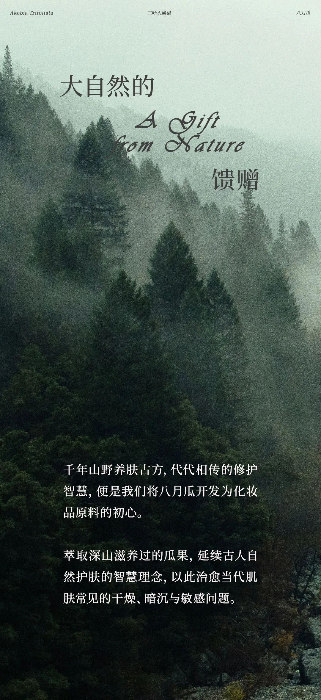 640 (18).webp