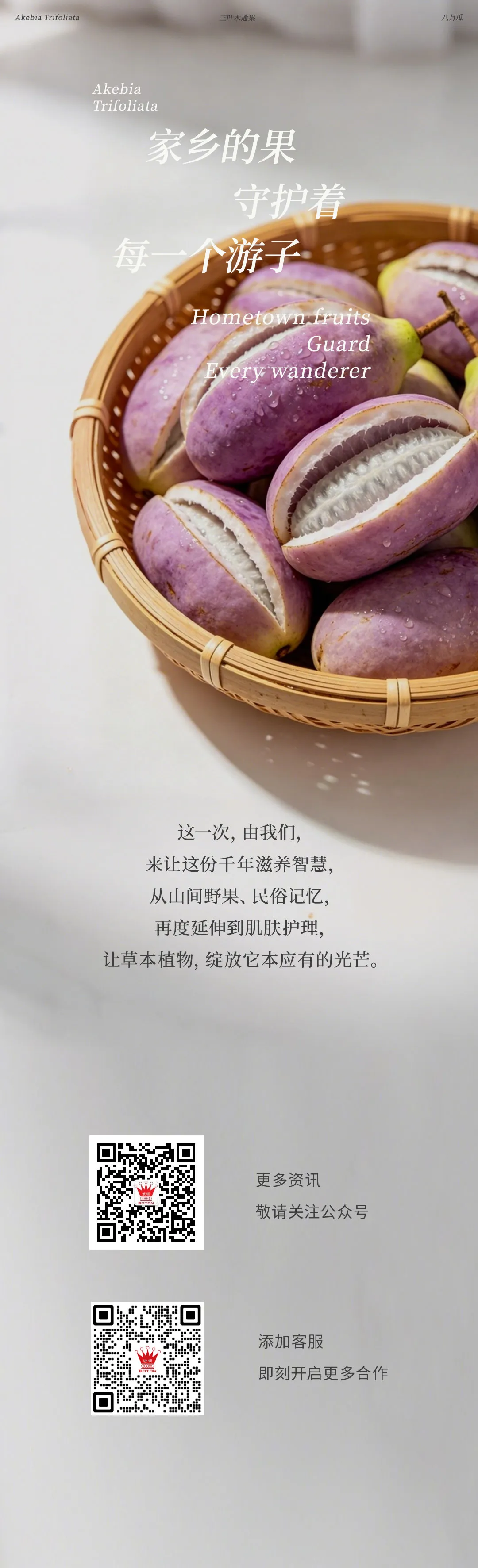 640 (19).webp